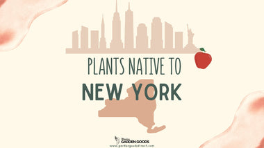 New York Native Planting Guide