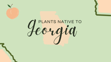 Georgia Native Planting Guide