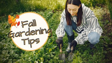 Fall Gardening Tips for Your Lawn and Garden
