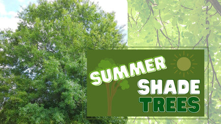 Growing Shade