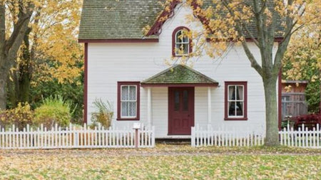 Selecting Trees for Small Space Landscaping