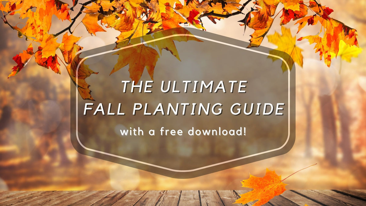 The Ultimate Fall Planting Guide