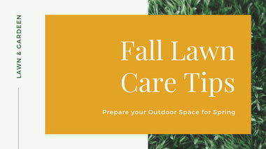 Fall Lawn Care Tips to Prepare for Spring