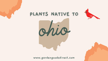 Ohio Native Planting Guide