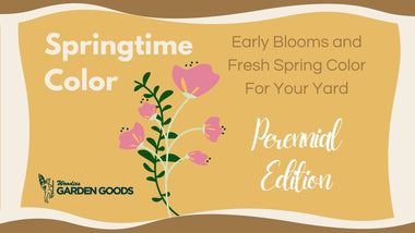 Early Spring Color and Blooms For Your Yard: Perennial Edition