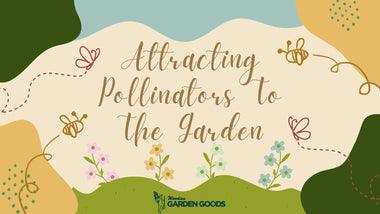 Attracting Pollinators To The Garden