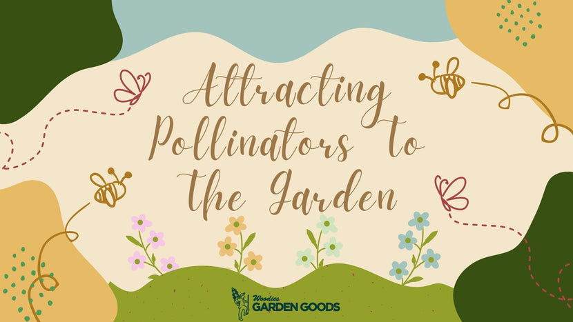 Attracting Pollinators To The Garden