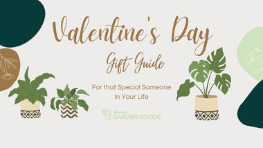 Valentine’s Day Gift Guide For Plant Lovers