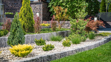 How to Build a Rain Garden for Better Drainage and Curb Appeal