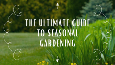 The Ultimate Guide to Seasonal Gardening