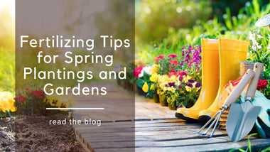 Fertilizing Tips for Spring Plantings and Gardens