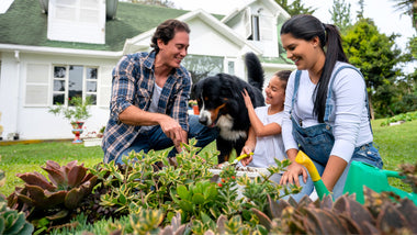 Getting Back To Our Roots: The Importance of Spending Time In Nature