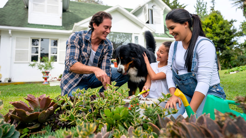 Getting Back To Our Roots: The Importance of Spending Time In Nature
