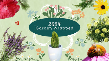 2024 Garden Wrapped: The Plants and Garden Trends You Loved The Most This Year