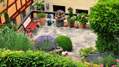2025 Garden Trend Predictions