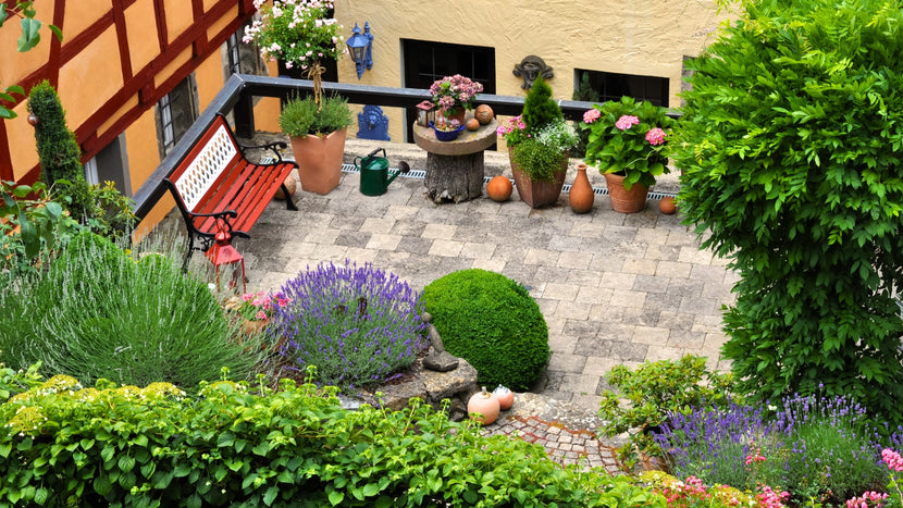 2025 Garden Trend Predictions