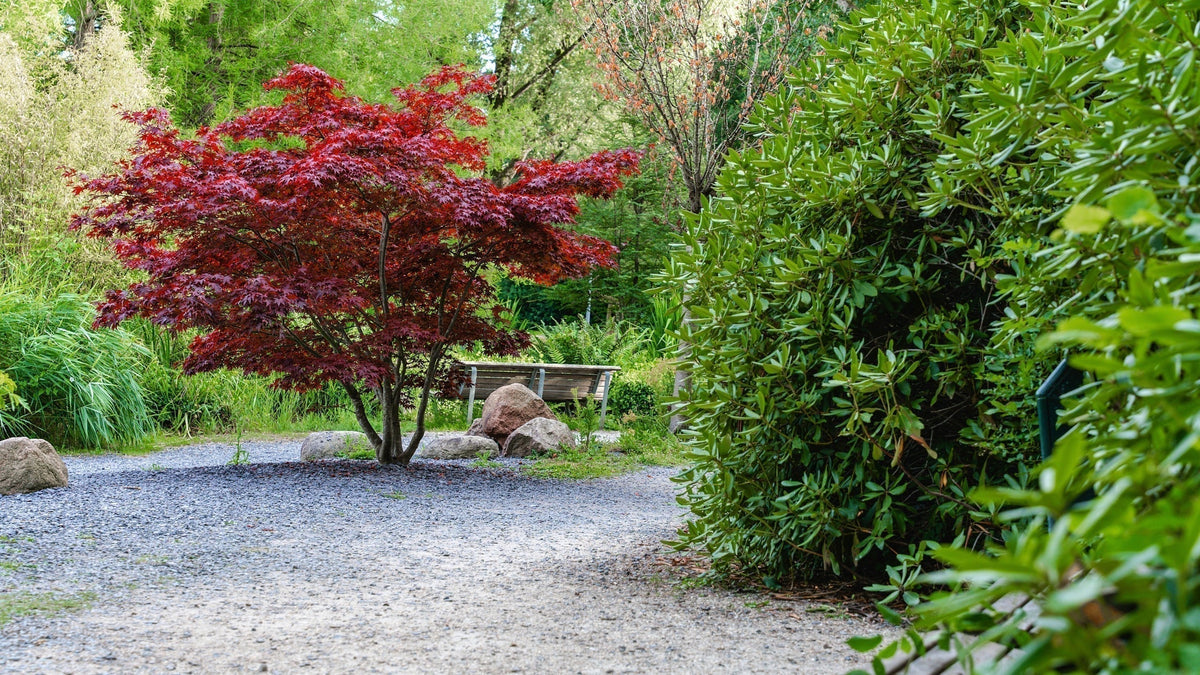 blog_header_-_2025-03-