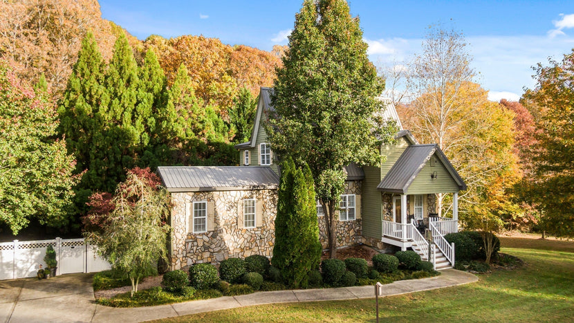6 Statement Trees To Better The Environment & Your Landscape