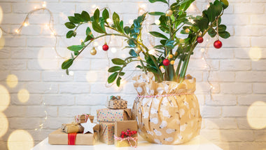 A Gardener’s Gift Guide: For The Plant Lovers In Your Life