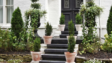 The Basics of Monochromatic Landscape Design