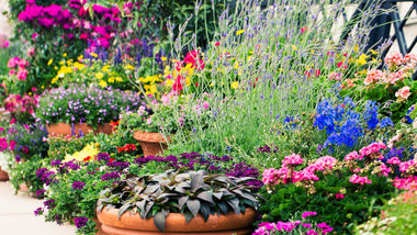 4 Container Garden Styles For Summer
