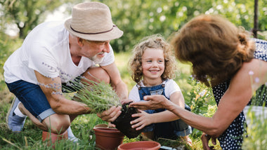 4 Summertime Planting Tips