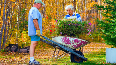 10 Tips for Winterizing Your Landscape