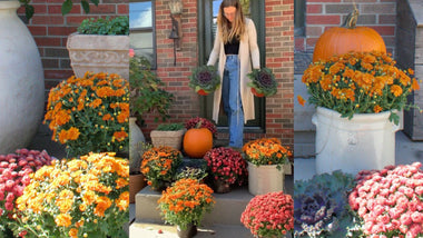 8 Tips To Transform Your Outdoor Space This Fall