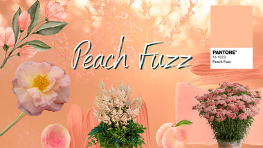 2024 Pantone Color Of The Year In Your Garden