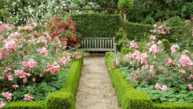 8 Gardening Trends For 2024