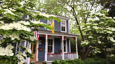 Transforming Your Landscape With Dogwood Trees