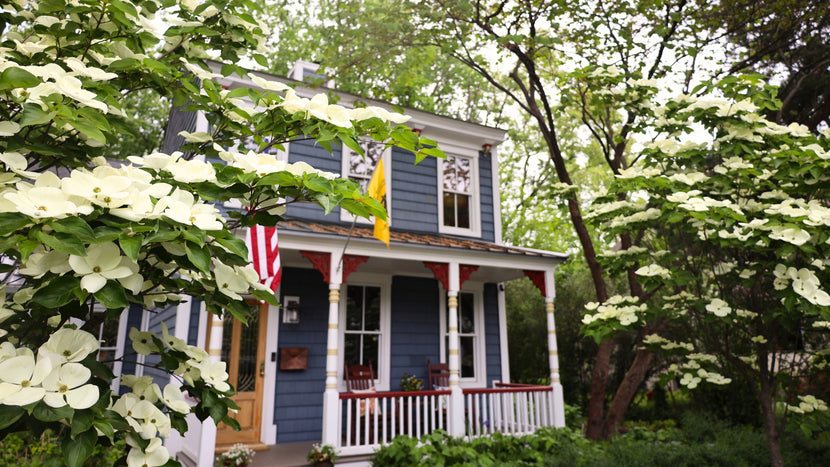 Transforming Your Landscape With Dogwood Trees