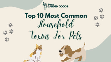10 Common Household Toxins for Pets