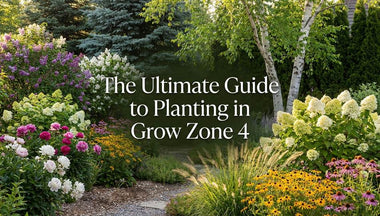 The Ultimate Guide to Planting in Grow Zone 4
