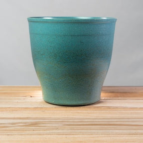 Biodegradable Pots