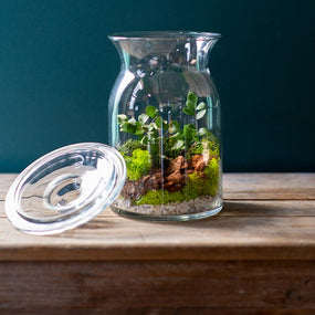 Glass Plant Pots