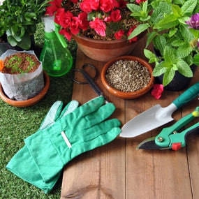 Lawn and Garden Tools for Sale Online