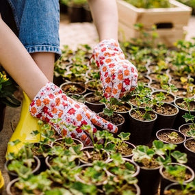 Gardening Tools
