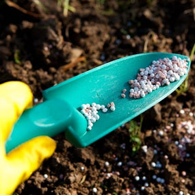 Garden Fertilizers
