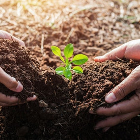 Garden Soil & Conditioners