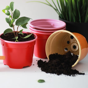 Soil & Amendments