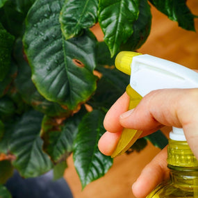 Pest & Disease Control
