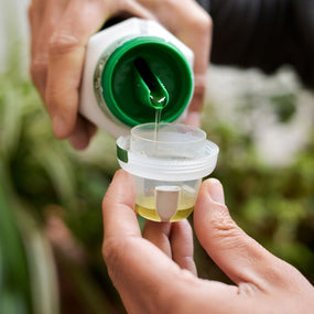 Food & Fertilizers