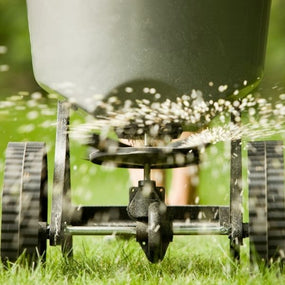 Lawn Fertilizers