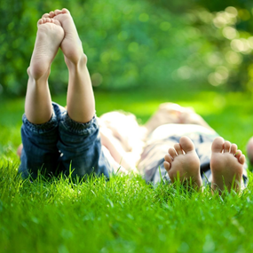 Organic Lawn Care