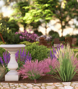 Bird Bath Garden