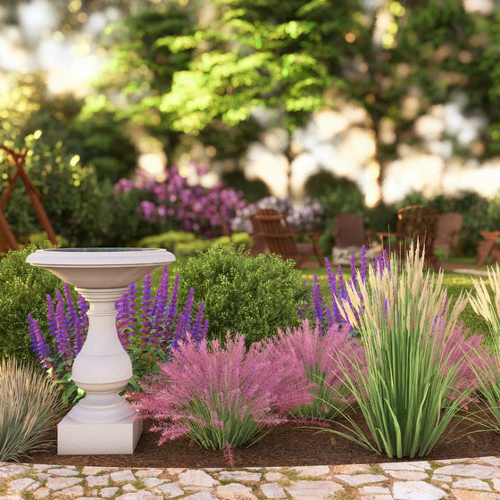 Bird Bath Garden