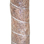 close look at the moss on the coco coir moss pole