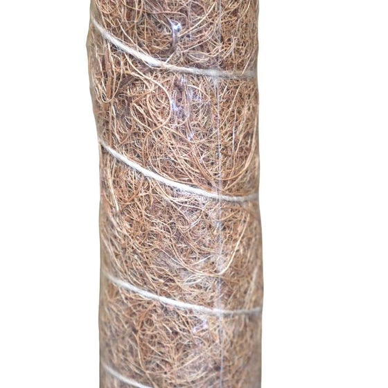 close look at the moss on the coco coir moss pole