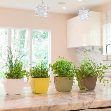 colorful crescent kyle resin pots on a granite counter top